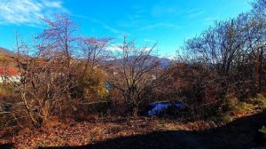 Купить дом в центральном Сочи!