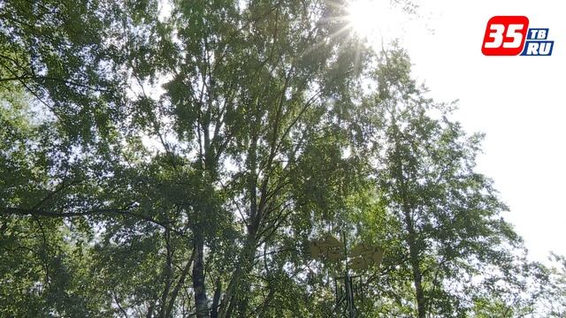 Медали «За любовь и верность» вручили череповецким супругам смотреть онлайн