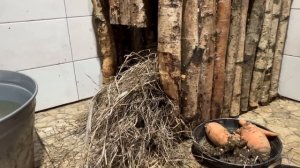 КОТ БЕГЕМОТ ЗНАКОМИТСЯ С НИКОЙ / Бобр утепляет свой дом