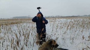 Пенсионеры жгут!!!