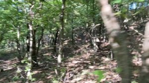 Ялта 7 участков ИЖС  п. г. т. Виноградное