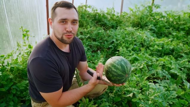 ГОД ПРОЖИТЫЙ НА ЗАИМКЕ  ФИЛЬМ О ДЕРЕВНЕ