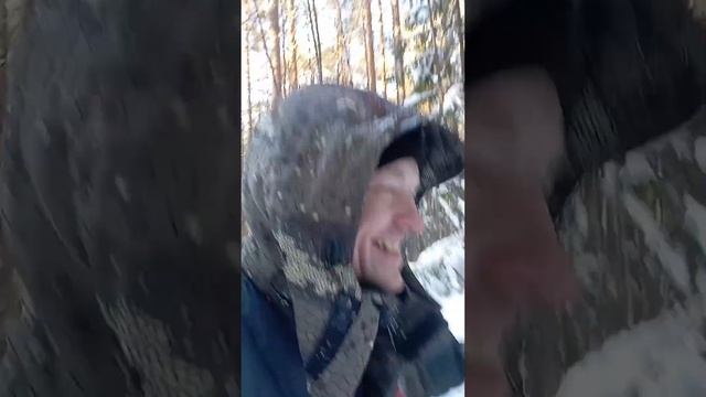 Ездовые электрики - редкий вид! #shorts #short