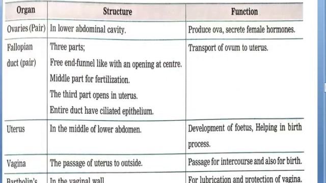 Session 3:Sexual Reproduction in Human Being