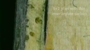 A comparison of the DHS Hurricane 301 vs DHS Hurricane 301x table tennis blades