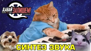 Архитектура классического синтезатора. Основы синтеза звука на примере BEHRINGER CAT