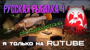 РУССКАЯ РЫБАЛКА 4🎣 ОХОТА НА РОТАНА🐠 КОМАРИНОЕ🐟