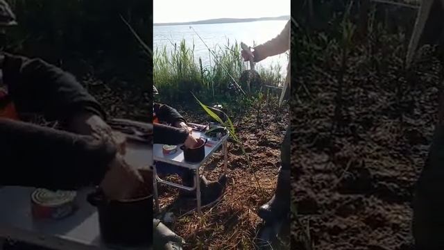 Рыбалка .Опарыш и Мотыль. #fishing #рыбалка #клев #река#озеро #отдых #иртыш #лес #shorts