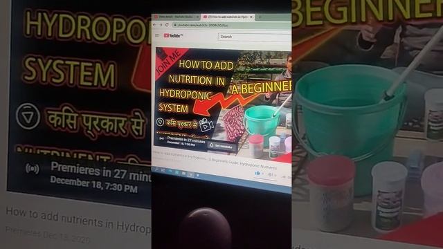 hydroponic farming at home - create a simple hydroponic system at home #youtubeshots #shots
