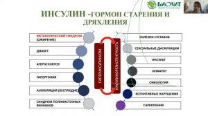 Инсулин - гормон стресса. Отрывок из лекции Н. В. Коротченко «Стресс»