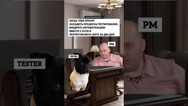 #тестировщик не сссыыы #тестированиепо #тестировщикснуля #юмор #qaengineer #shorts смотреть онлайн