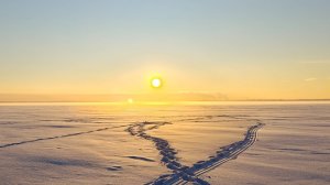 Рыбалка на Сугояке 17.01.25. Мелкая щука не даёт скучать.