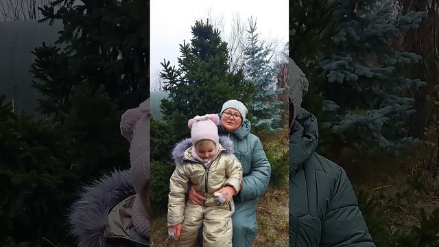 Поздравляем с наступающим  Новым 2025 годом!