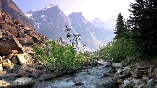 🐦 Звуки природы 🏞 Горная река 🎶 Музыка для медитации 🧘♀️