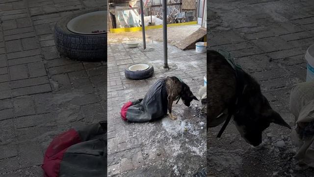 Терри 😊 смотреть онлайн