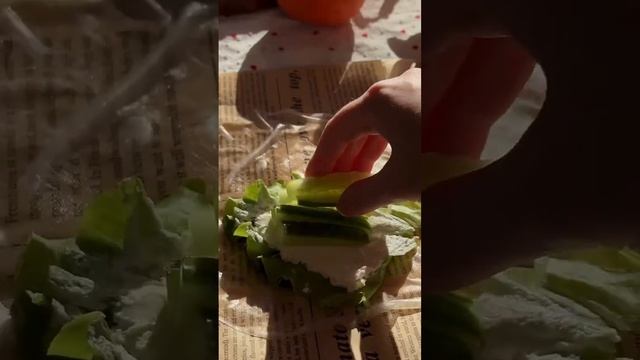 Пп перекус с рисовой бумагой и красной рыбой #пп #рецепт #эстетика #зож #еда #вкусно #ппрецепты смотреть онлайн