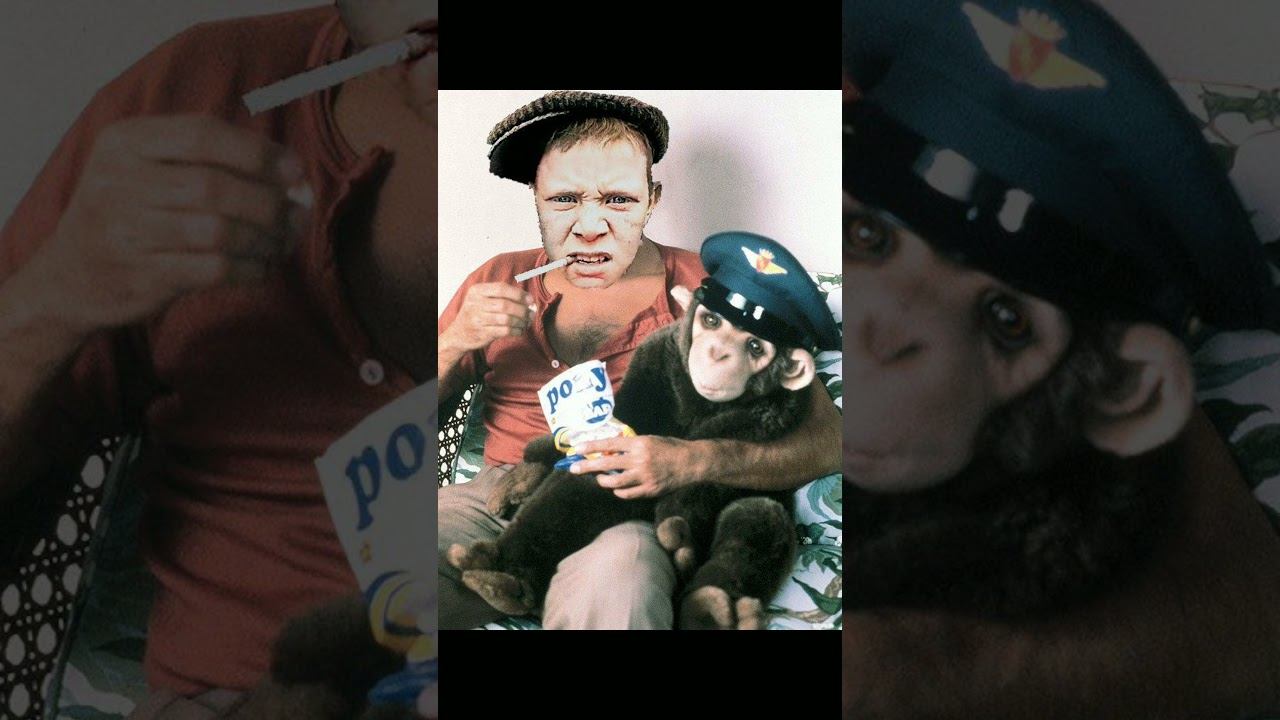 Лондонская бл. дь #антиколлектор #коллекторы #шортс #рекомендации смотреть онлайн