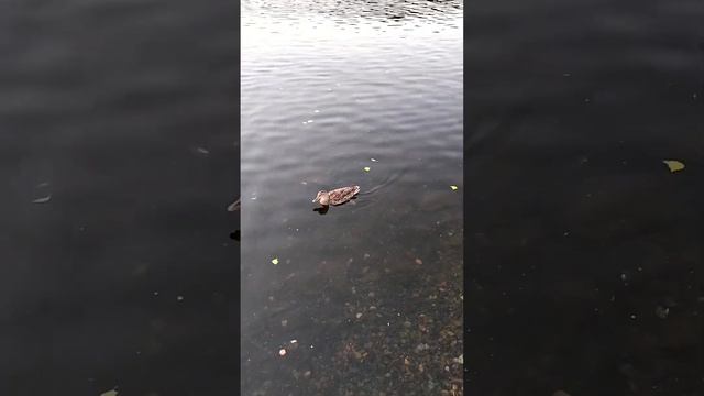 Последние тёплые деньки ☀️
