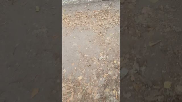 г. златоуст. пешеходный переход на ул. Н.П. Полетаева к школе номер 5. смотреть онлайн