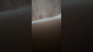 Лат Америка ПАРЯЩИЙ КОНДОР исполняет Влад. Семенов