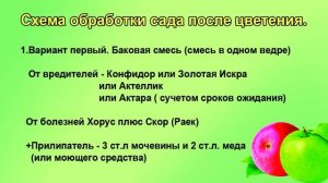 Схема обработки сада после цветения