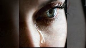 Голуби,голуби,голуби *Виктор Петлюра  и Анна Воробей *