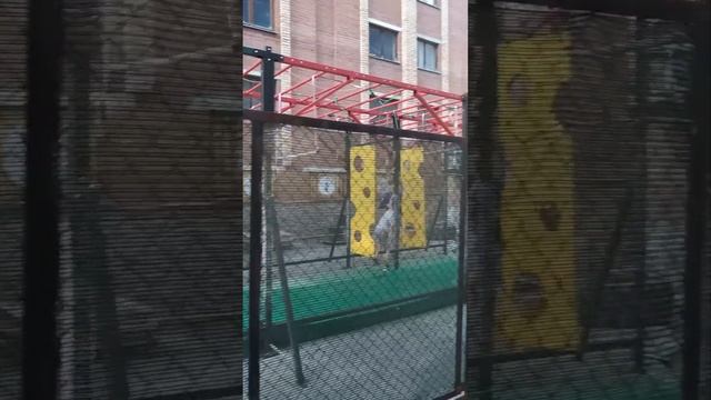 Прикольные места в городе Самара, летний день #shorts