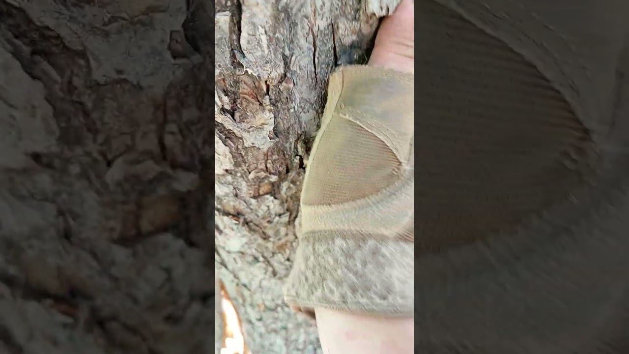 Война #рекомендации #россия #украина смотреть онлайн