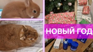 Наш НОВЫЙ ГОД. Много косметики, подарочки. Лечение Пушинки. Пушок ушёл на радугу. Болеем