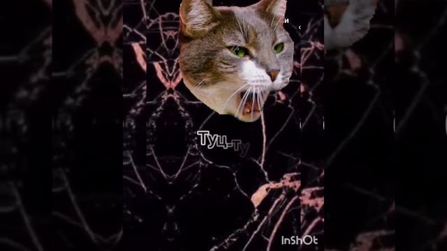 Наоборот это ШЕДЕВР собачка жвачка мышка сосиска кошка картошка ку-ку я немножко смотреть онлайн