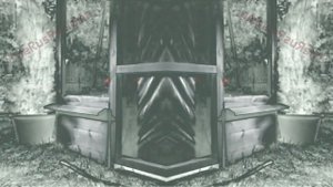Аdvertising  Реклама Китикет Kitekat   Борис поймал пчелу In G Major 4 And CoNfUsIoN