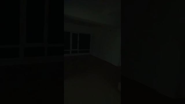 Video5215589734851571991