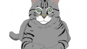 Рубрика «Что почитать?». Тамара Крюкова «Дневник котосапиенса»