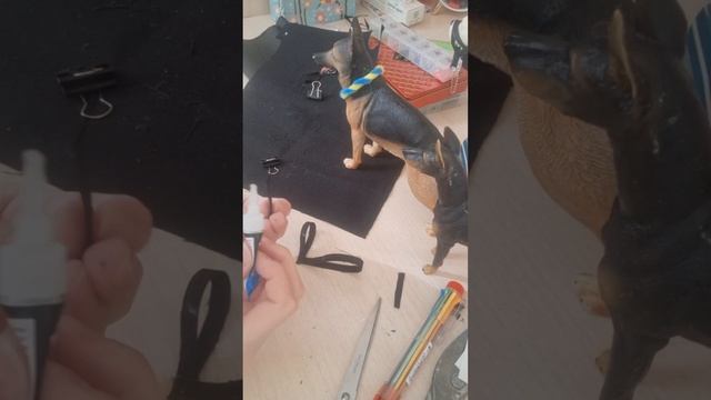 Туториал на Халти для собак