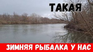 Рыбалка в январе 2025 на поплавок! Нам лёд только снится!!!