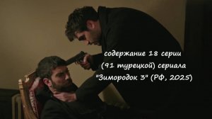 Содержание 18 серии (91 турецкая) третьего сезона сериала "Зимородок" (РФ, 2024 / 2025)