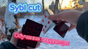 Обучение кардистри для начинающих кардистов (sybl cardistry tutorial )