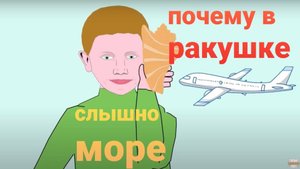 Мультфильм. Почему мы слышим шум моря в ракушке. Что означает шум в ракушке.