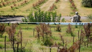 Николаев 18 января 2025 года