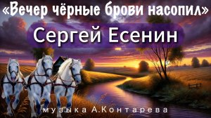 Сергей Есенин «Вечер чёрные брови насопил» | ВСТРЕЧА У КАМИНА / 31-й ВЫПУСК |