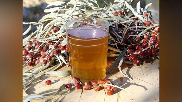 Jiyda Bilan Qanday Kasalliklarni Davolash Mumkin ??? смотреть онлайн