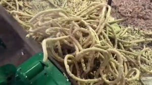 Экструдер ЭК-5 220В