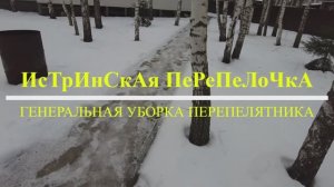 Генеральная уборка в перепелятнике Истринская Перепелочка #16