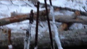 Раскопки по Войне в Демянском котле. Выживаем в Пустыне #10 WW2