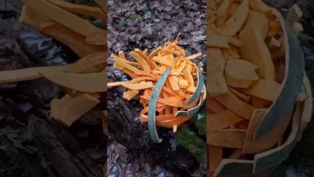 Кормушка для зайцев смотреть онлайн