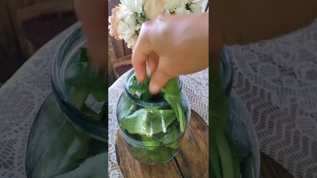 СОЛЁНЫЕ ОГУРЦЫ на зиму #shorts #рецепты #деревня #готовимдома #огород
