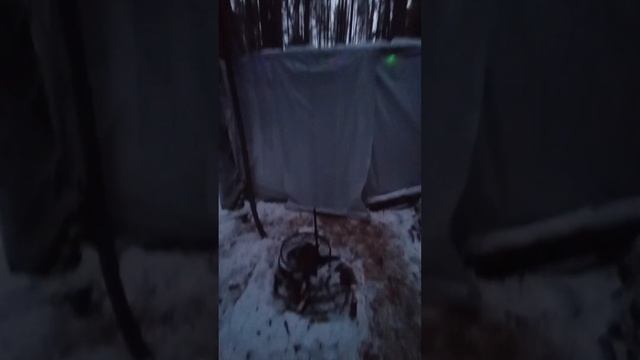 Новый год в тайге. #shorts #short