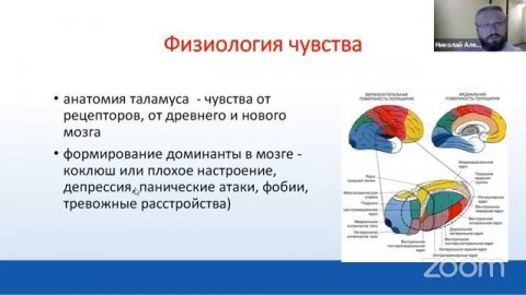 Эмоциональный интеллект. Часть 1.
