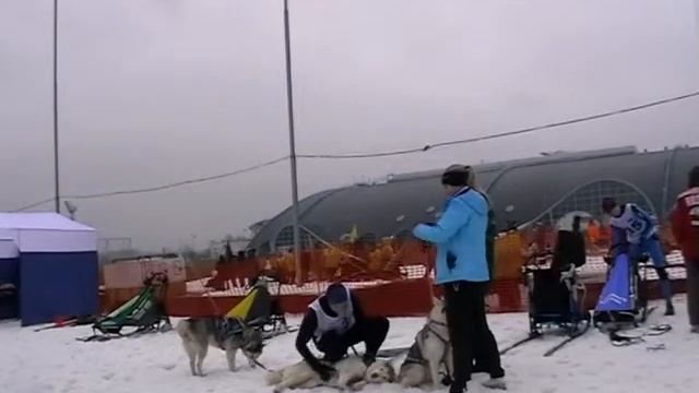 Завiруха 2014 смотреть онлайн