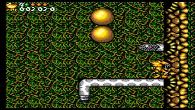 Battletoads In Battlemaniacs [4K] [Sega Master System]